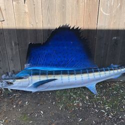 Fiber Glass Marlin 