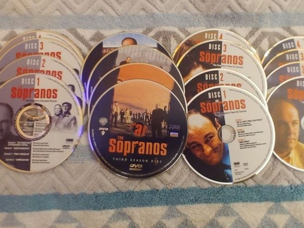 DVD Series Collection All Protected In Case Logic