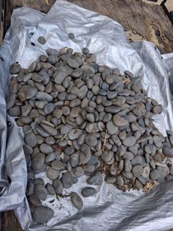 Rocks