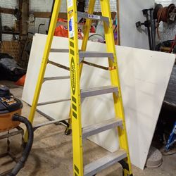 Werner Fiberglass 6 Foot Ladder 