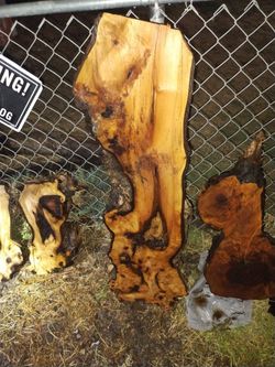 Black Walnut Slabs 