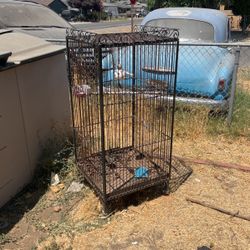 Bird Cage 