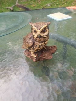 Owl