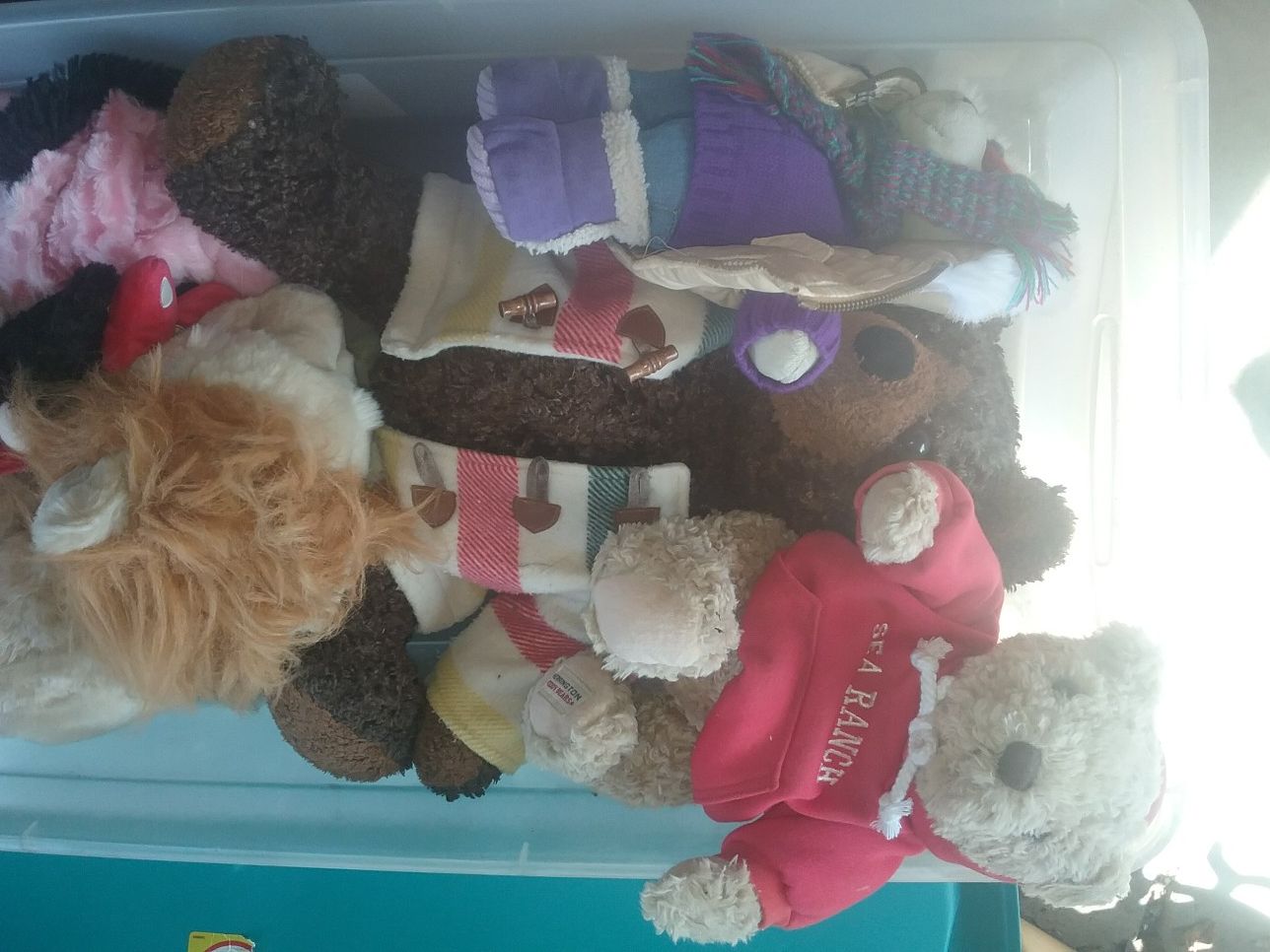 Bear collection and other stuffed animals, darling lot!