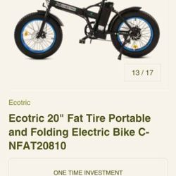 Brand New Electric Bike 