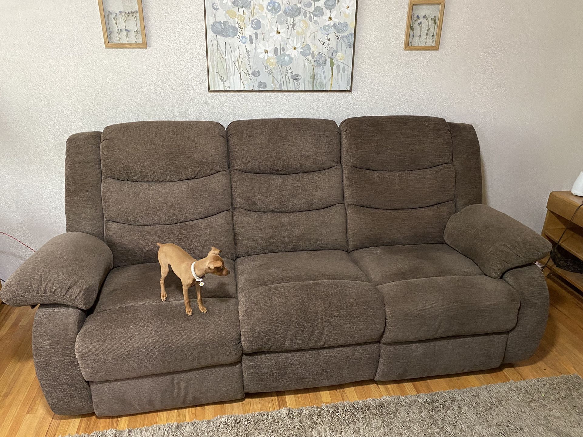 Recycling Couch and Loveseat