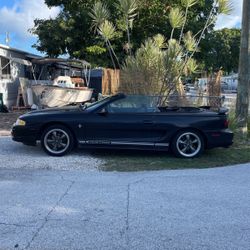 1998 Mustang 