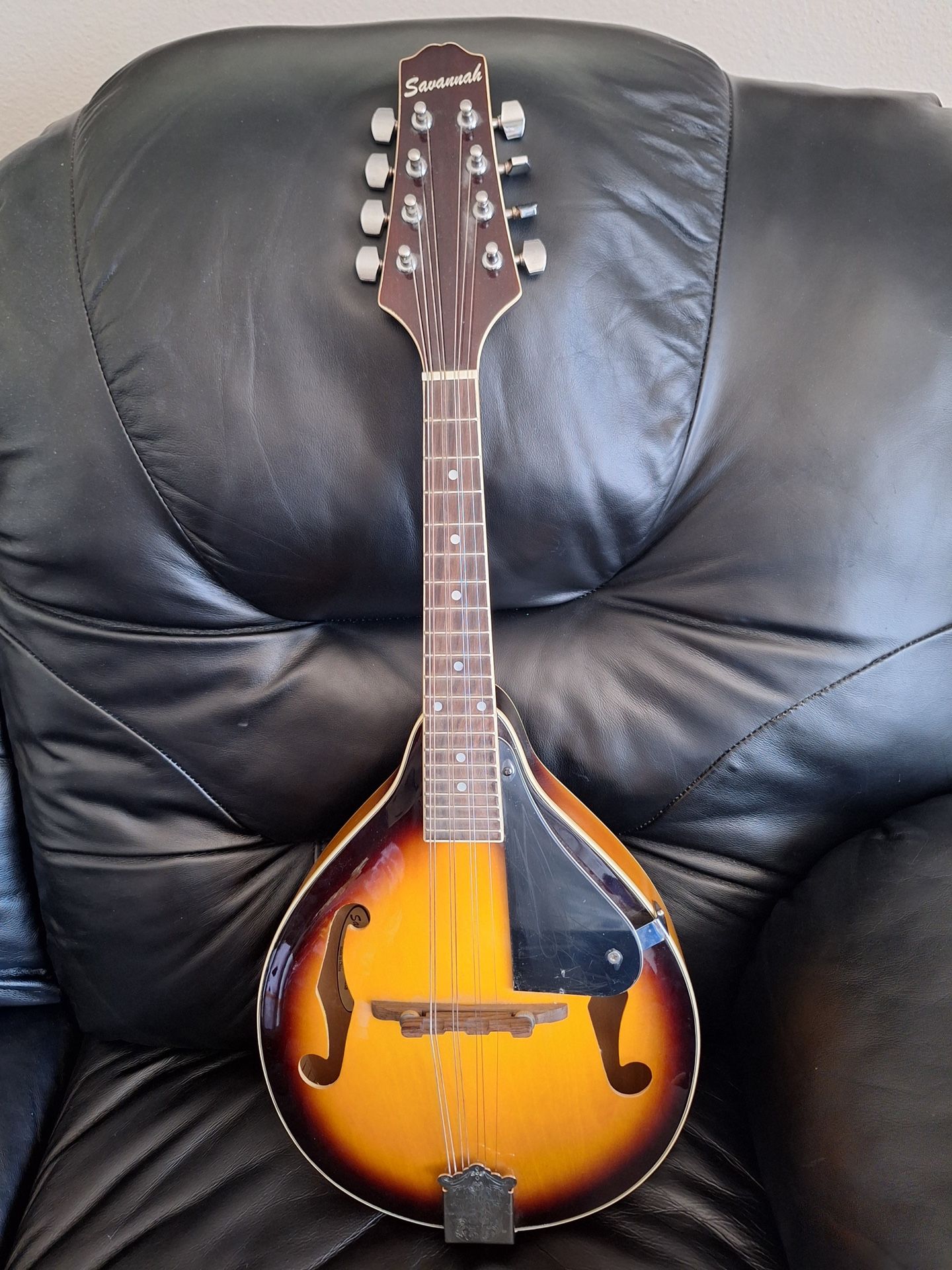 Savannah Mandolin