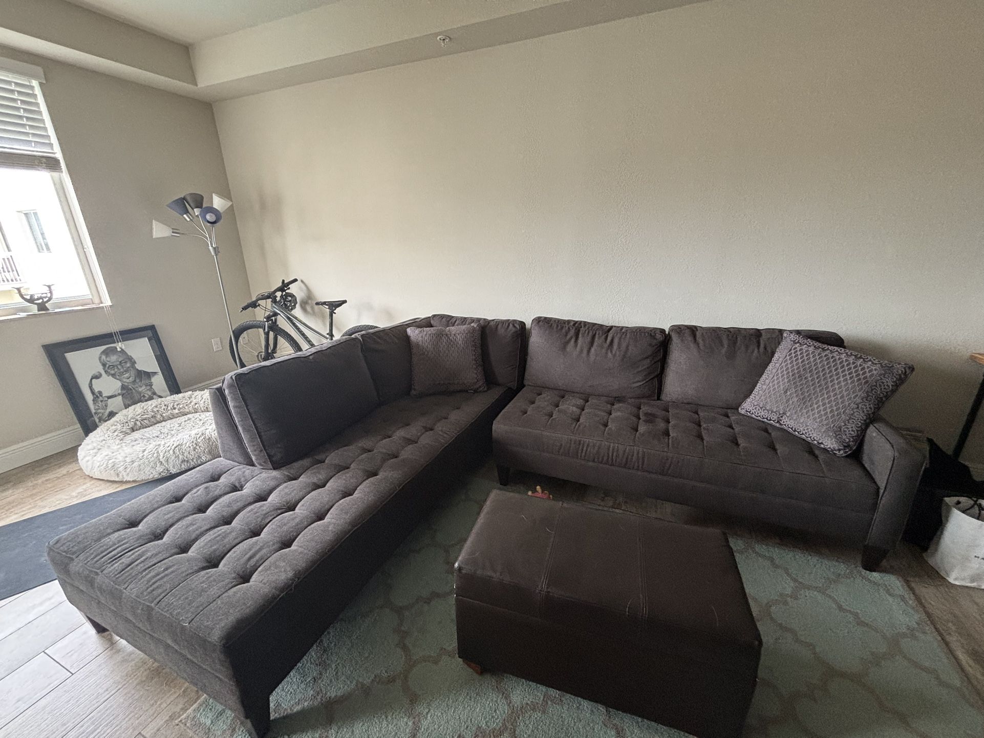 Great Couch $250