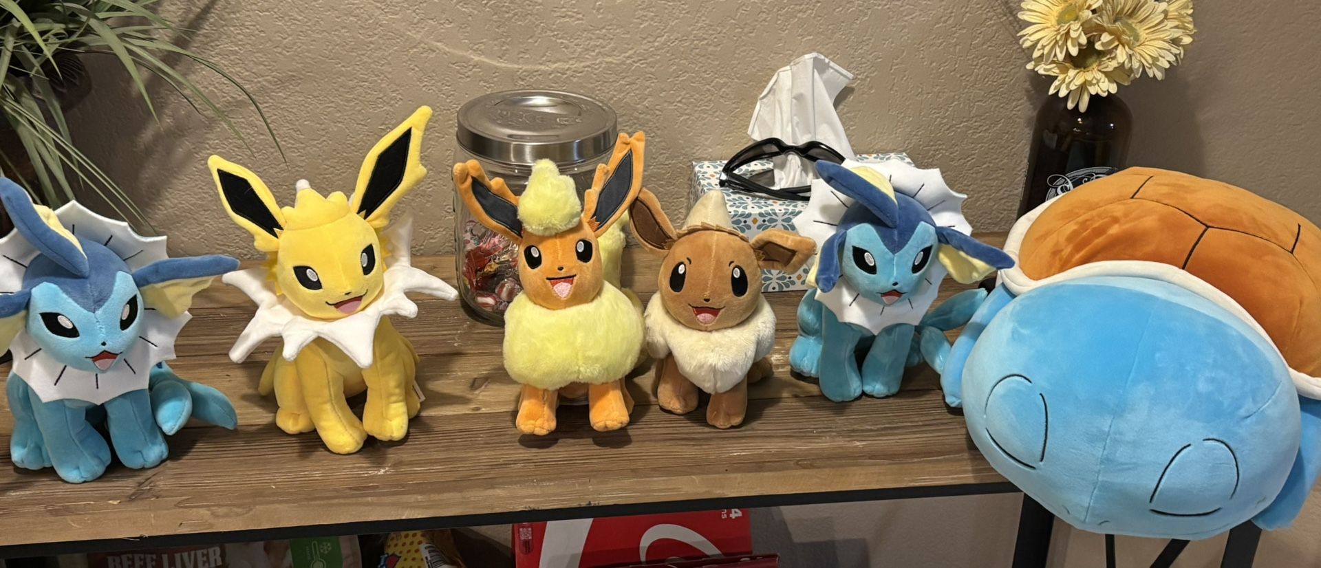 Pokeman Plush 