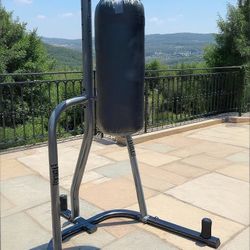 Punching Bag And Stand