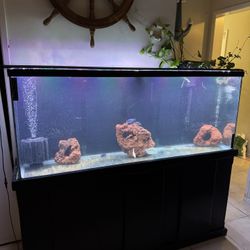 Fish Tank Aquarium 100 Gallon 