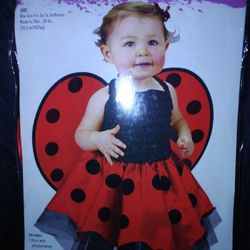 Costume LADYBUG marked ONE SIZE 6-12-18-24months Like New $8 Poinciana Kissimmee 34758