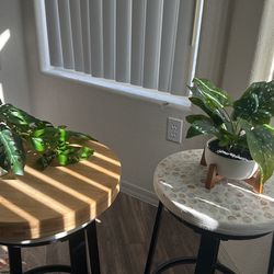 Medium False Potted Plants