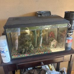 Two Fish Tanks