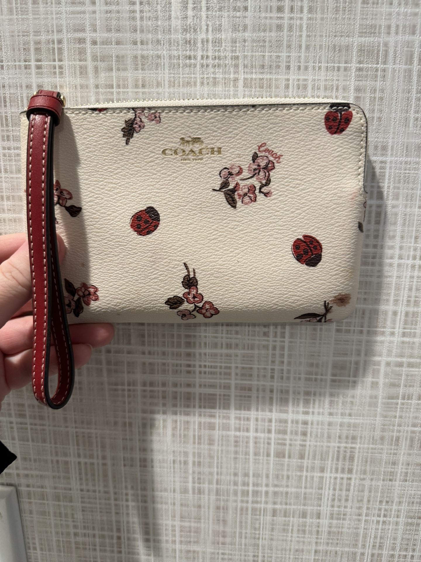 Coach Hand Bag