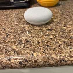 Google Nest