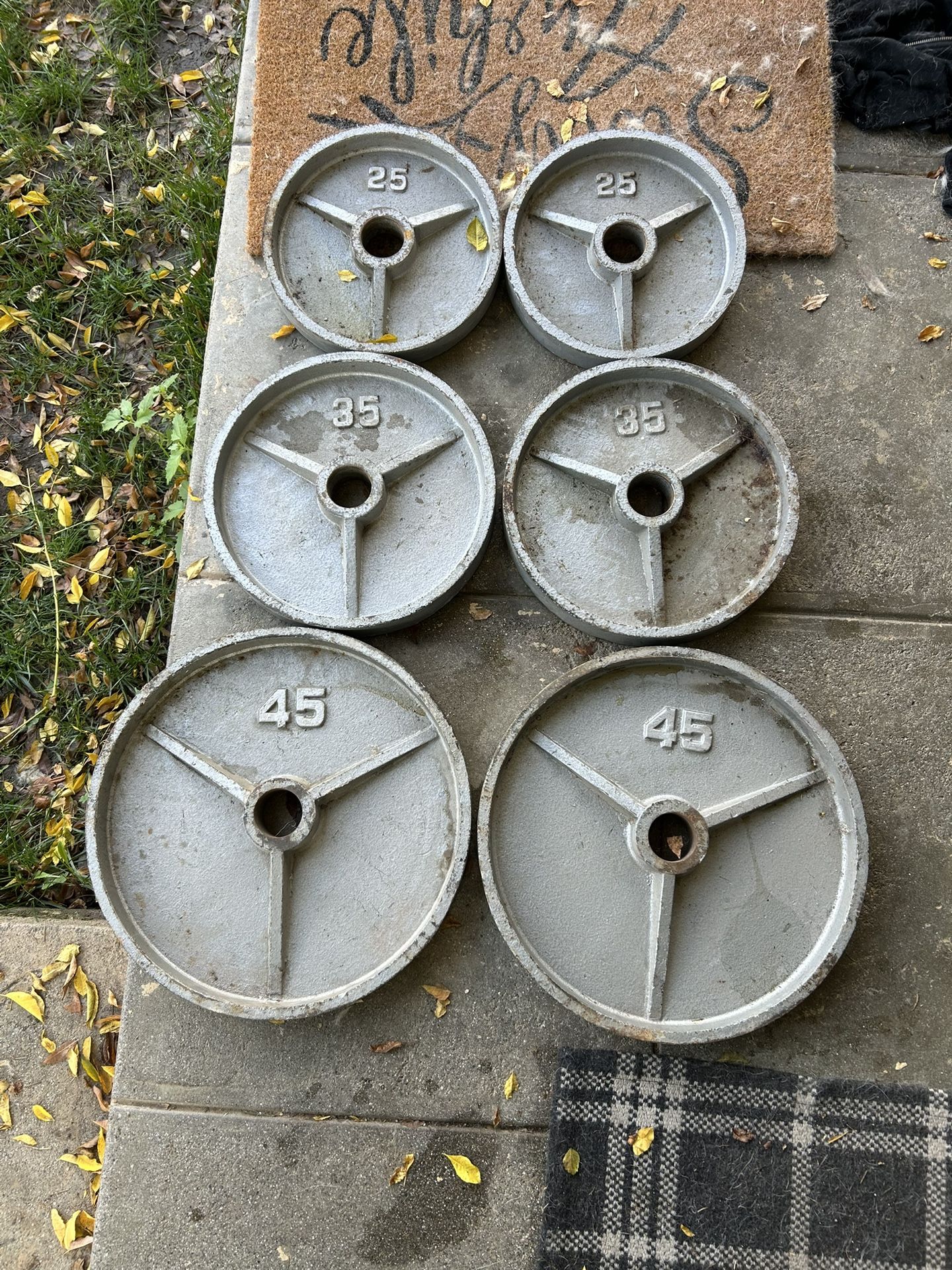 Olympic Weight Plate Set