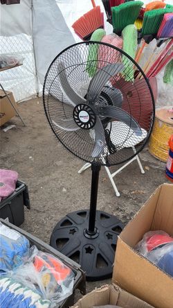 Fan