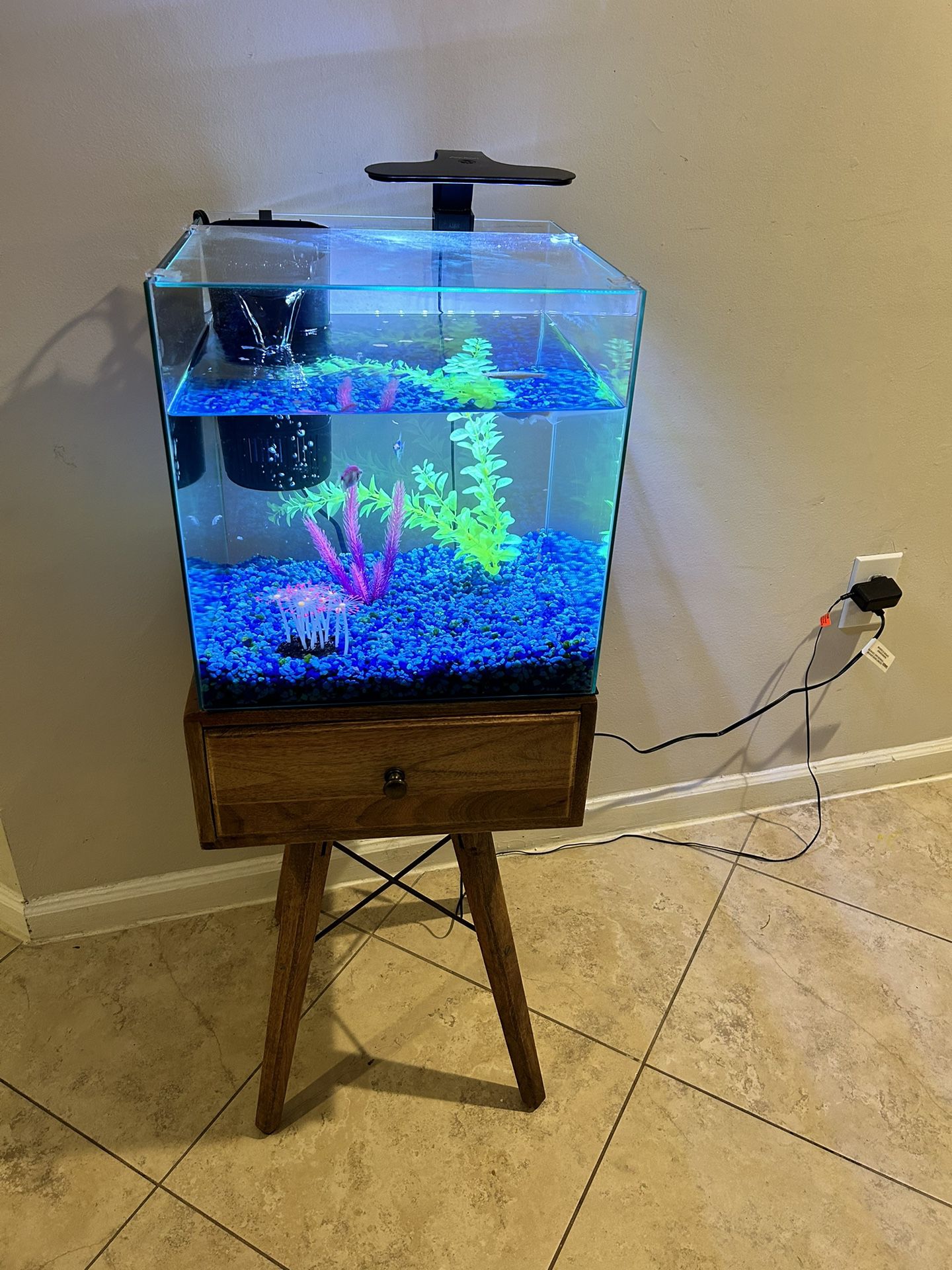 Fish, Fish Tank and Stand 