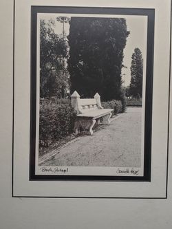 Bench, Portugal Signed Framed Print By Connie Begg