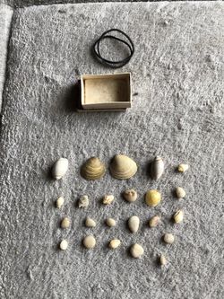 Miniature sea shells, stones