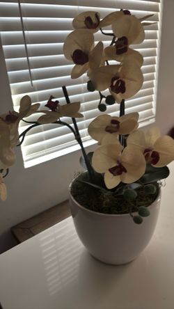 Fake orchid