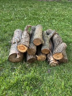 Wood 10 Logs