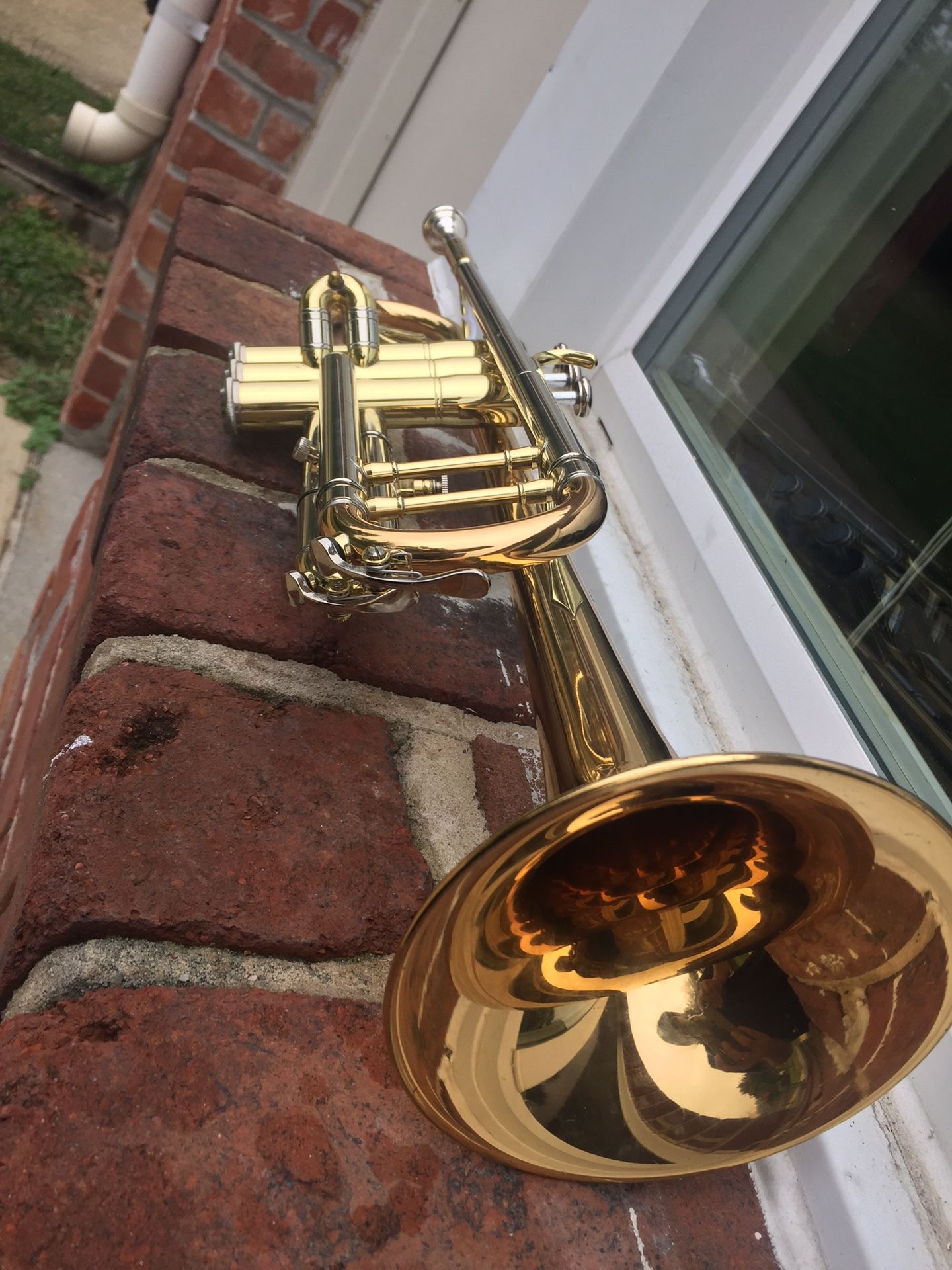 Jupiter Capital Edition Trumpet 🎺