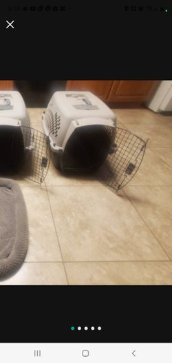 Medium Dog Crate