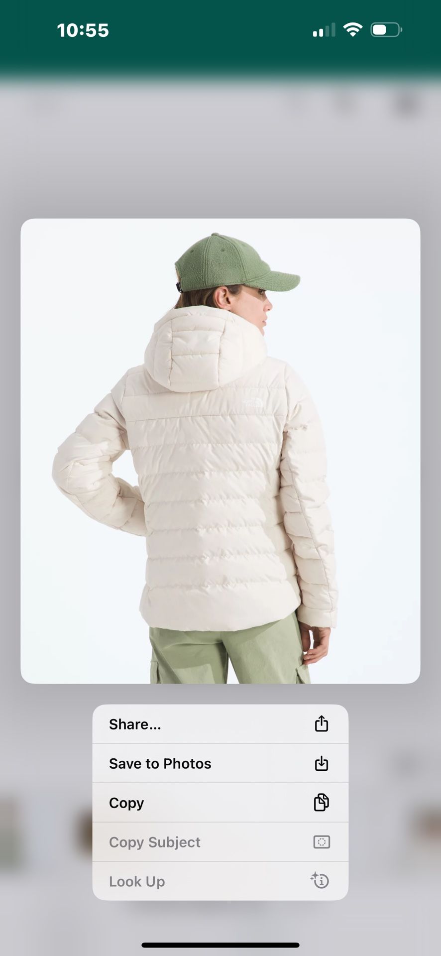 Brand New Women's Northface