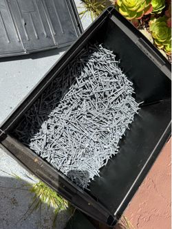 FREE Nails
