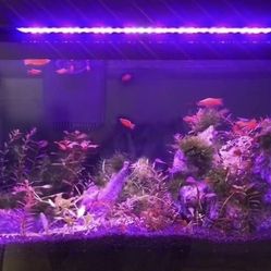 Led Color Light for fish tank