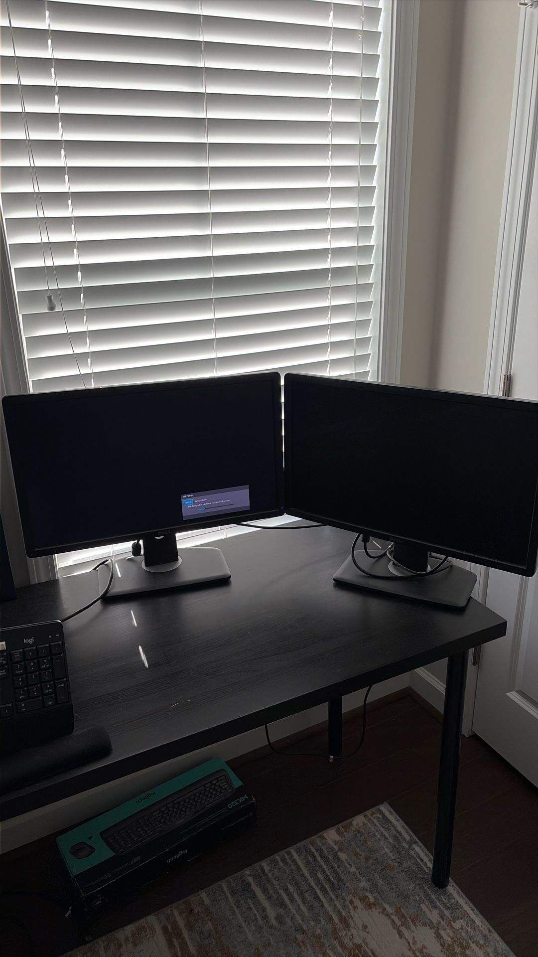 Two Dell Monitors 