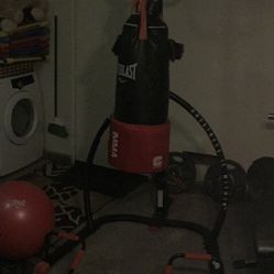 Everlast Punching Bag Stand with pull Up Bar And Push Up Bars 