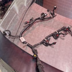 Sensor Harnest