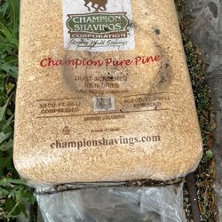 Pine Shavings 