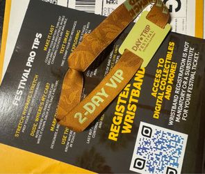 Day Trip VIP bracelet