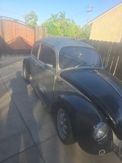 Vw bettle color black  and silver