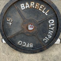 Single 45lb Olympic Weight Plate