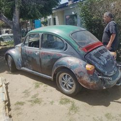76 bug