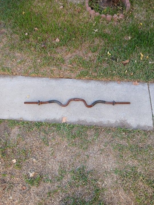 Curl Bar