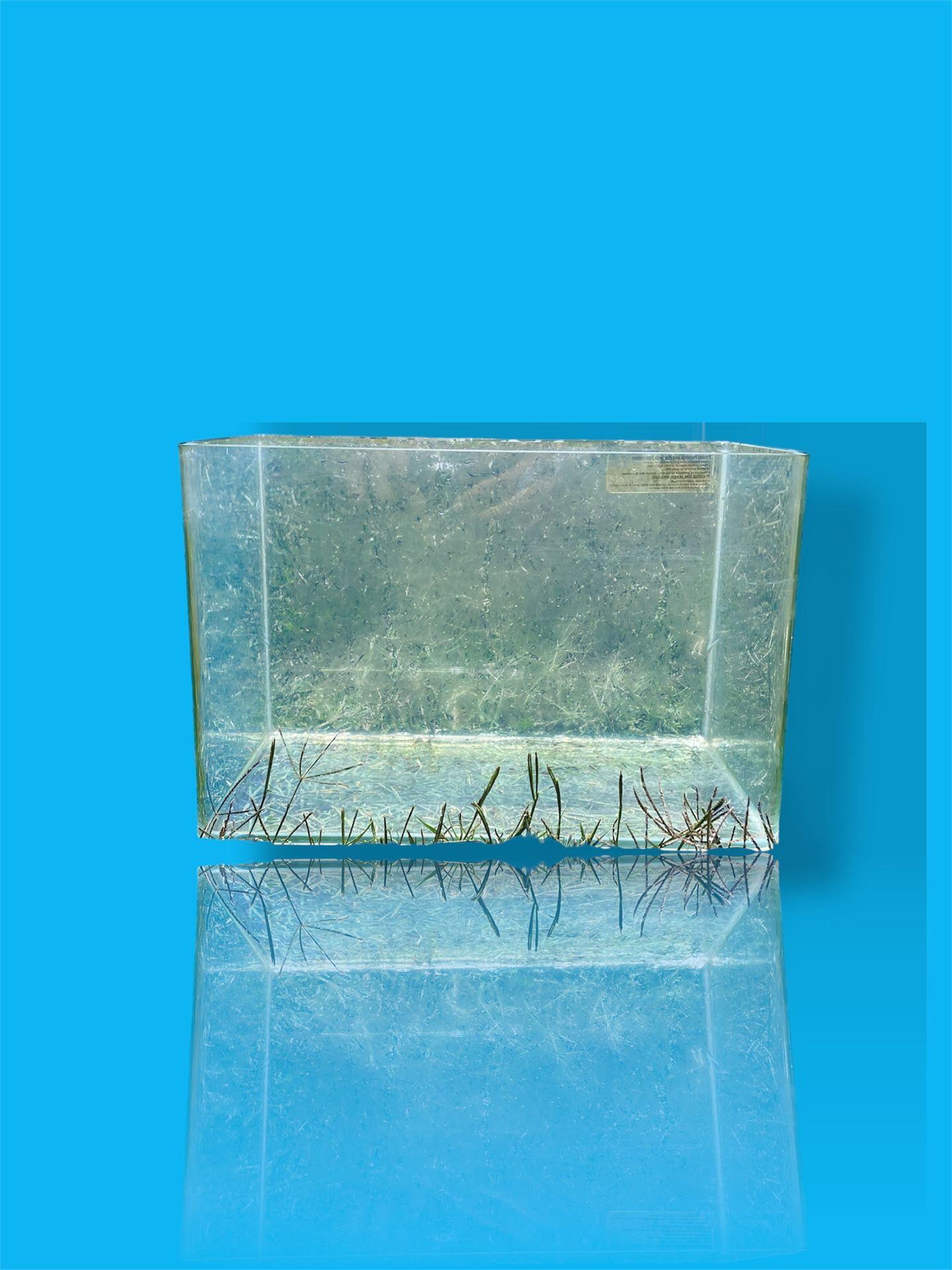 Fish Tanks