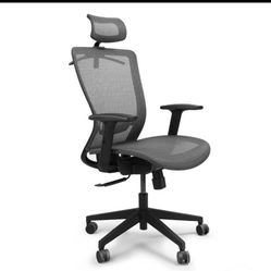 Black Office Chair Flexispot