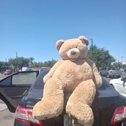 Stuffed Animal 