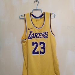 NBA LeBron James Size 52 LeBron James Large Nike Los Angeles Swimming 