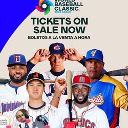 2 Tickets Netherlands vs. Dominican Republic - Game 5 Sun, Mar 8 • 12:00 PM ET