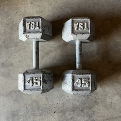 Dumbbell Weights 45lb