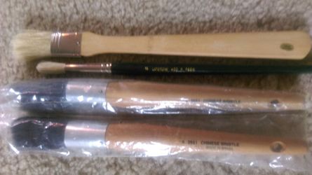 Collection of 4 New stiff bristle artist brushes