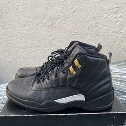 Size 11.5 - Jordan 12 Master 